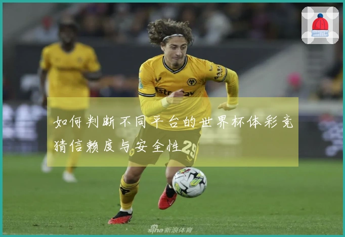 如何判断不同平台的世界杯体彩竞猜信赖度与安全性