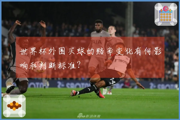 世界杯外围买球的赔率变化有何影响和判断标准？