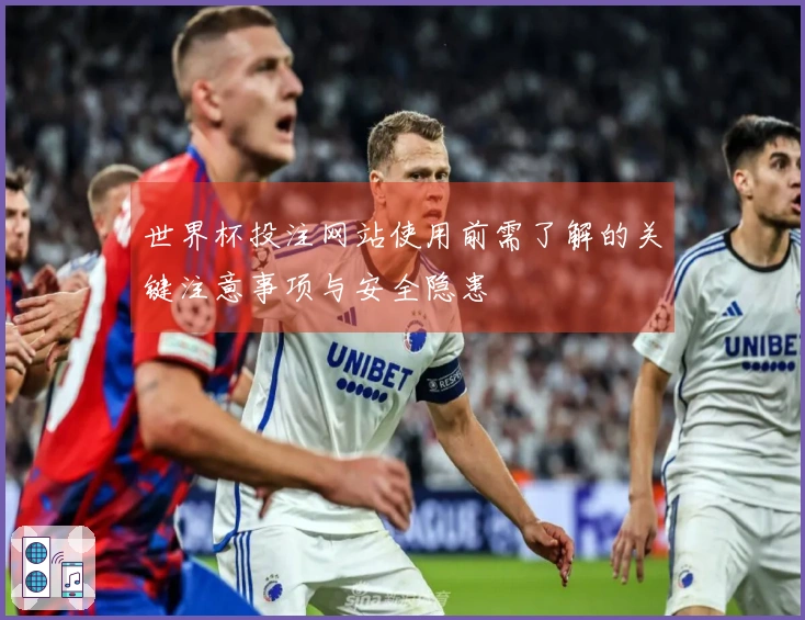 世界杯投注网站使用前需了解的关键注意事项与安全隐患
