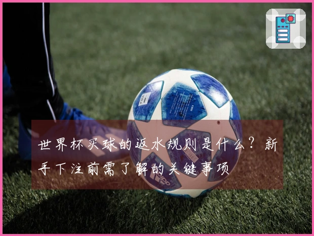 世界杯买球的返水规则是什么？新手下注前需了解的关键事项