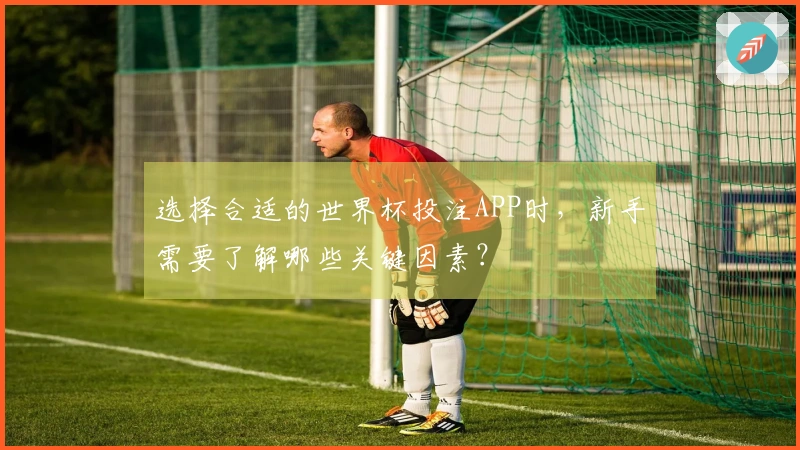 选择合适的世界杯投注APP时，新手需要了解哪些关键因素？