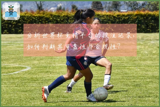 分析世界杯竞猜平台的投注记录，如何判断其可靠性与合规性？
