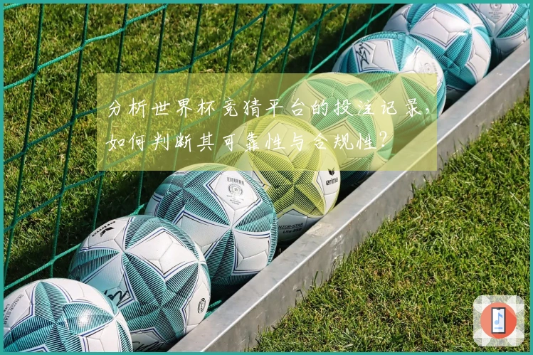 分析世界杯竞猜平台的投注记录，如何判断其可靠性与合规性？