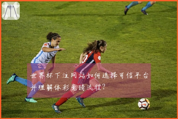 世界杯下注网站如何选择可信平台并理解体彩竞猜流程？