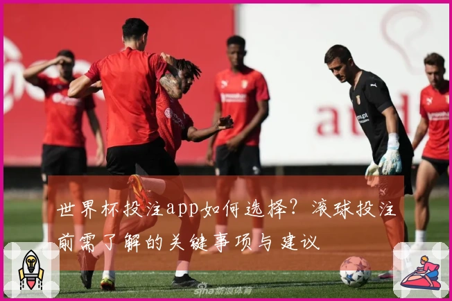 世界杯投注app如何选择？滚球投注前需了解的关键事项与建议