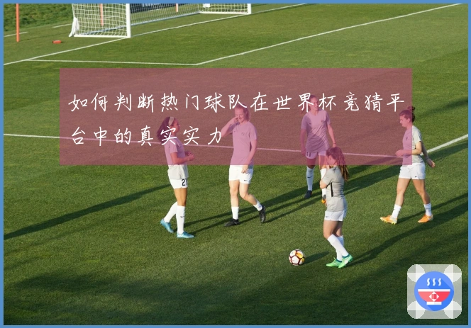 如何判断热门球队在世界杯竞猜平台中的真实实力