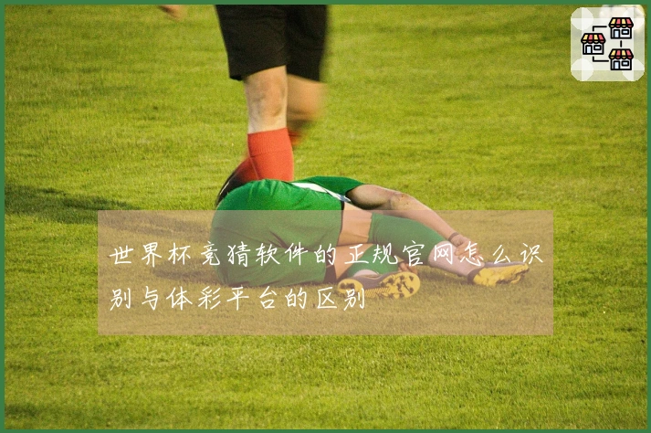 世界杯竞猜软件的正规官网怎么识别与体彩平台的区别
