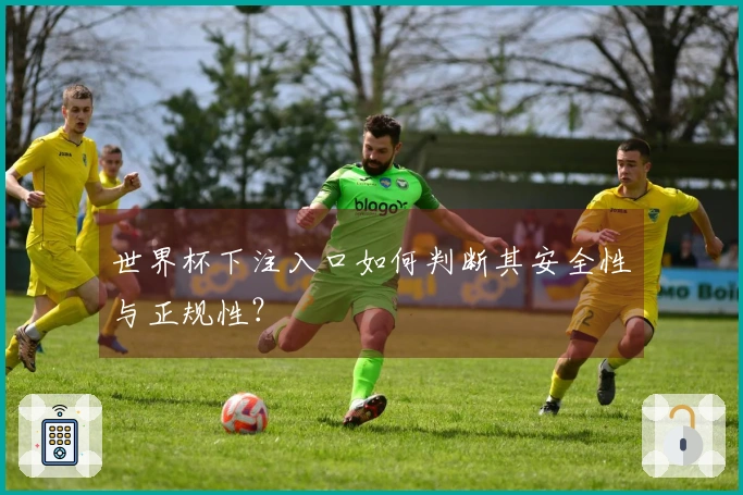 世界杯下注入口如何判断其安全性与正规性？
