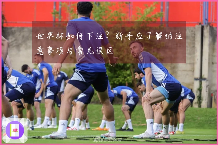世界杯如何下注？新手应了解的注意事项与常见误区