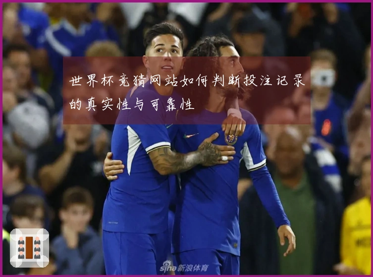 世界杯竞猜网站如何判断投注记录的真实性与可靠性