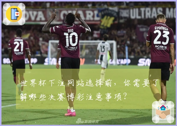 世界杯下注网站选择前，你需要了解哪些决赛博彩注意事项？