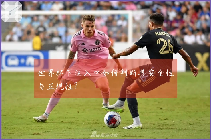 世界杯下注入口如何判断其安全性与正规性？