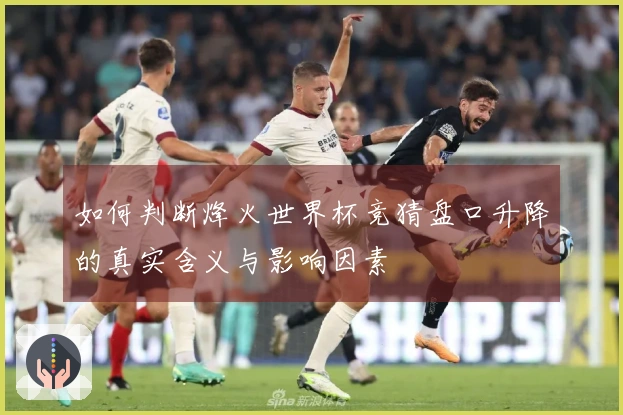 如何判断烽火世界杯竞猜盘口升降的真实含义与影响因素