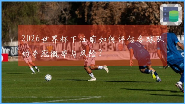 2026世界杯下注前如何评估各球队的夺冠概率与风险？
