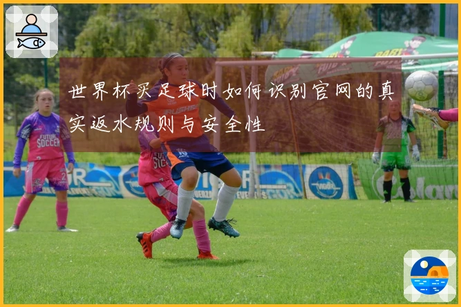 世界杯买足球时如何识别官网的真实返水规则与安全性